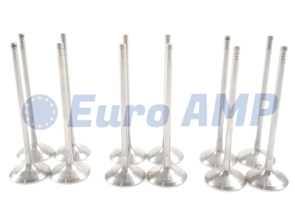BMW 335i 535i 640i X3 Engine Intake Valve Set 12 3.0L Turbo L6 N55 11347641075