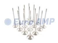 Mercedes Benz E63 G63 GLE63 Engine Exhaust Valve Set 16 5.5 V8 M157 2780500427