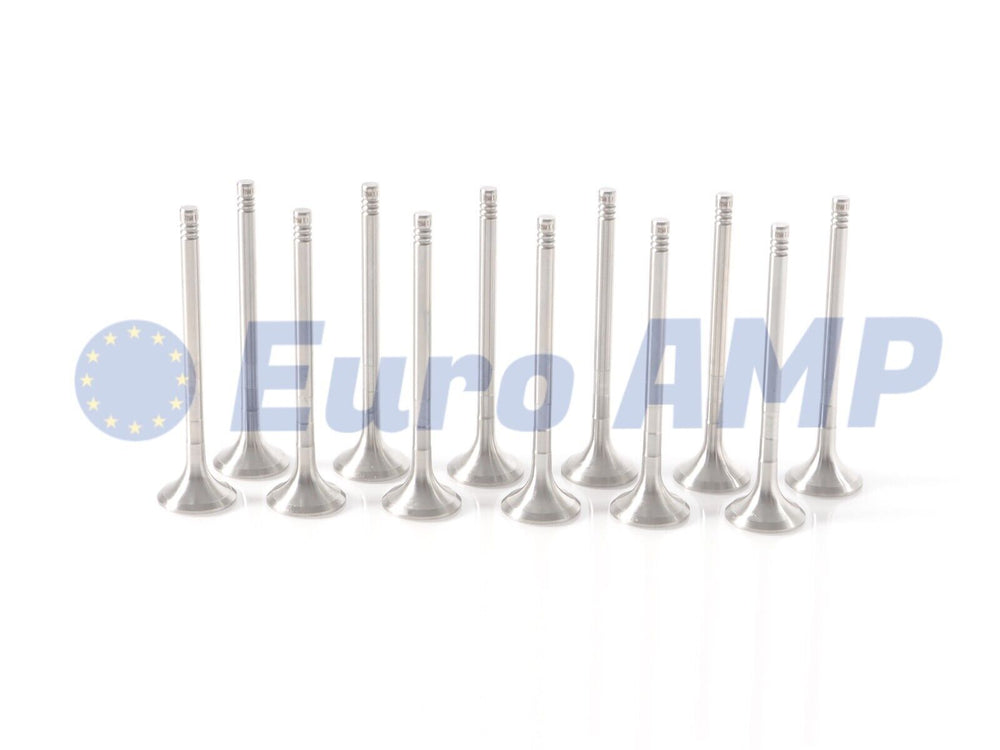 Jaguar Land Rover Range Discovery Exhaust Valve 12x 3.0L 2.7L V6 Diesel LR008130