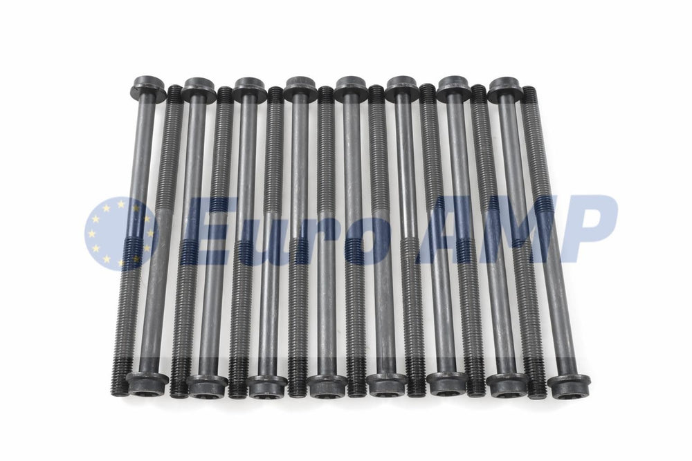 A set of 16 long, black cylinder head bolts with integrated washers and E-Torx heads, arranged vertically on a white background with a Euro AMP watermark.