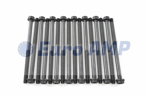 A set of 16 long, black cylinder head bolts with integrated washers and E-Torx heads, arranged vertically on a white background with a Euro AMP watermark.