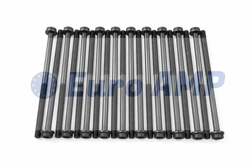 A set of 20 long, black cylinder head bolts with integrated washers and E-Torx heads, arranged vertically on a white background with a Euro AMP watermark.