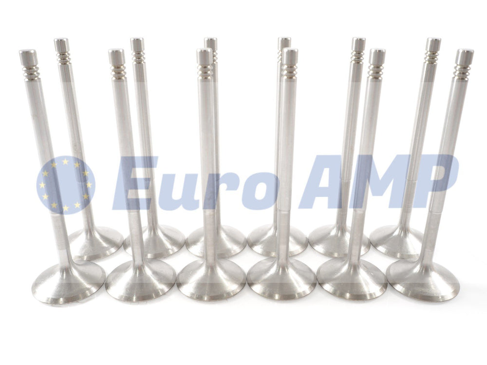 Audi S6 S7 RS5 Engine Intake Valves (12) 2.9 V6 TFSI EA839 06M-109-601-G