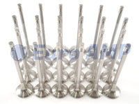 Audi A6 A7 Q7 Q8 S4 S5 SQ5 Intake & Exhaust Valves (24) 3.0 V6 TFSI EA839